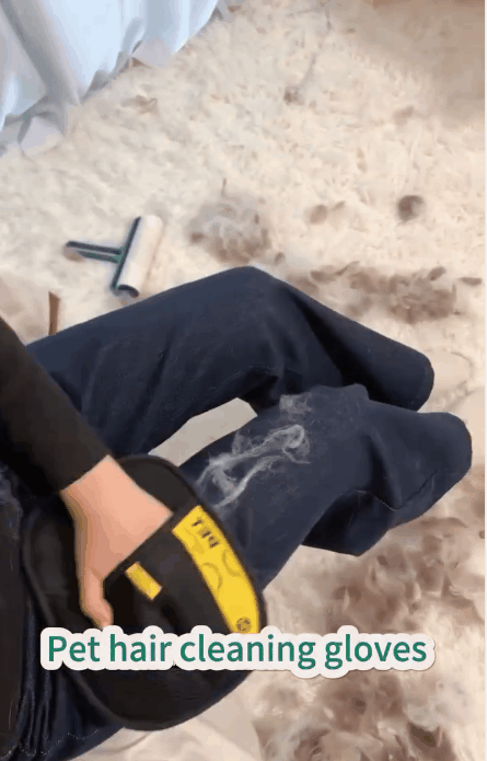 Double-Sided Pet Grooming Gloves