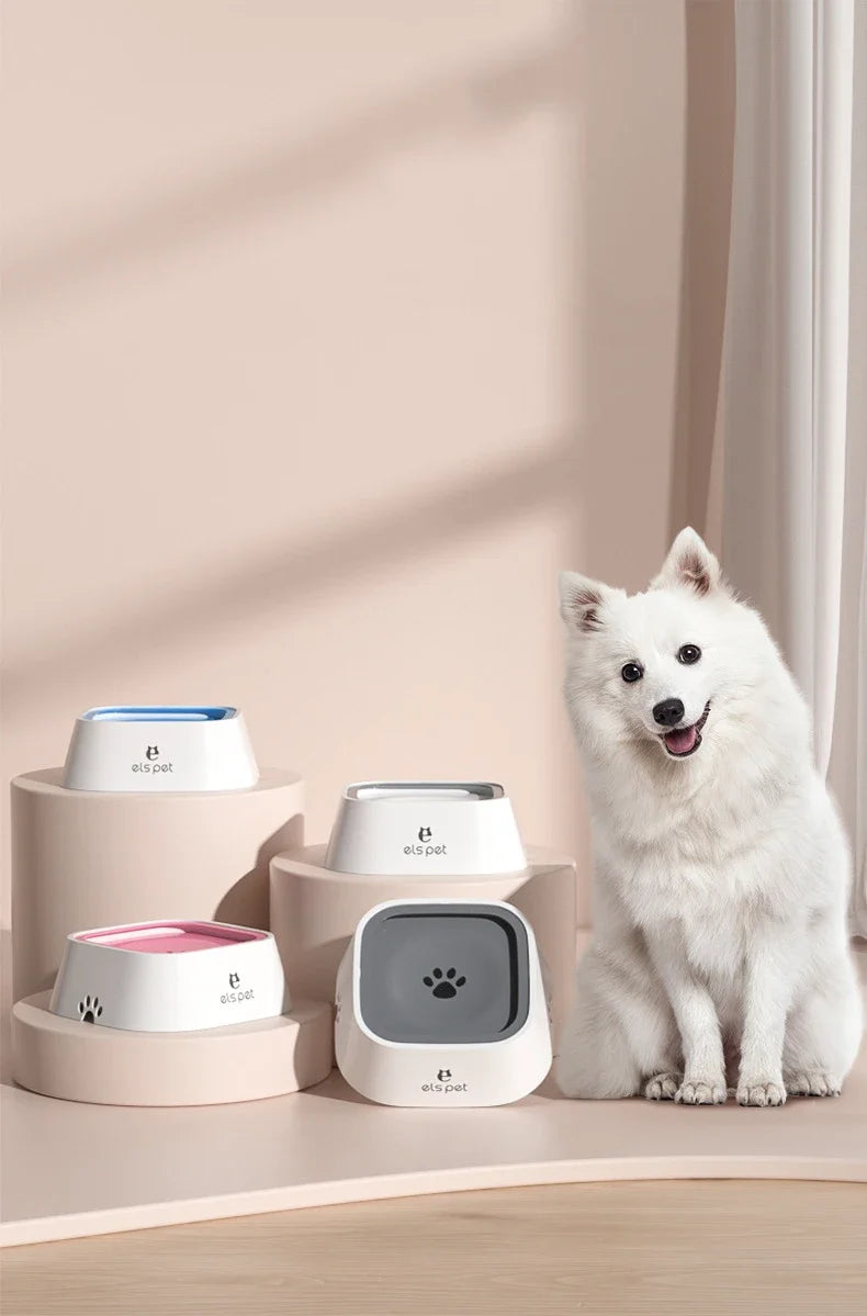 Pet Hydration Station