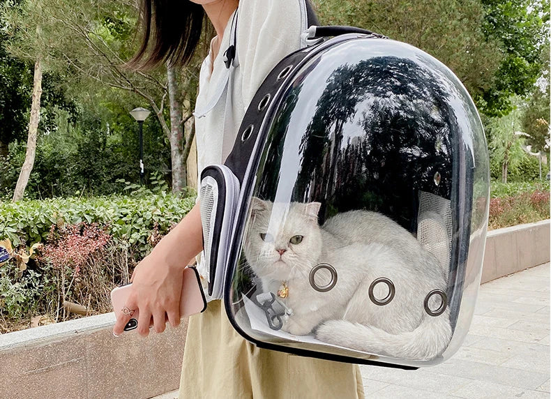 Breathable Cat & Dog Travel Backpack