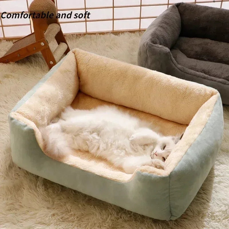 Cozy Pet Bed & Mat