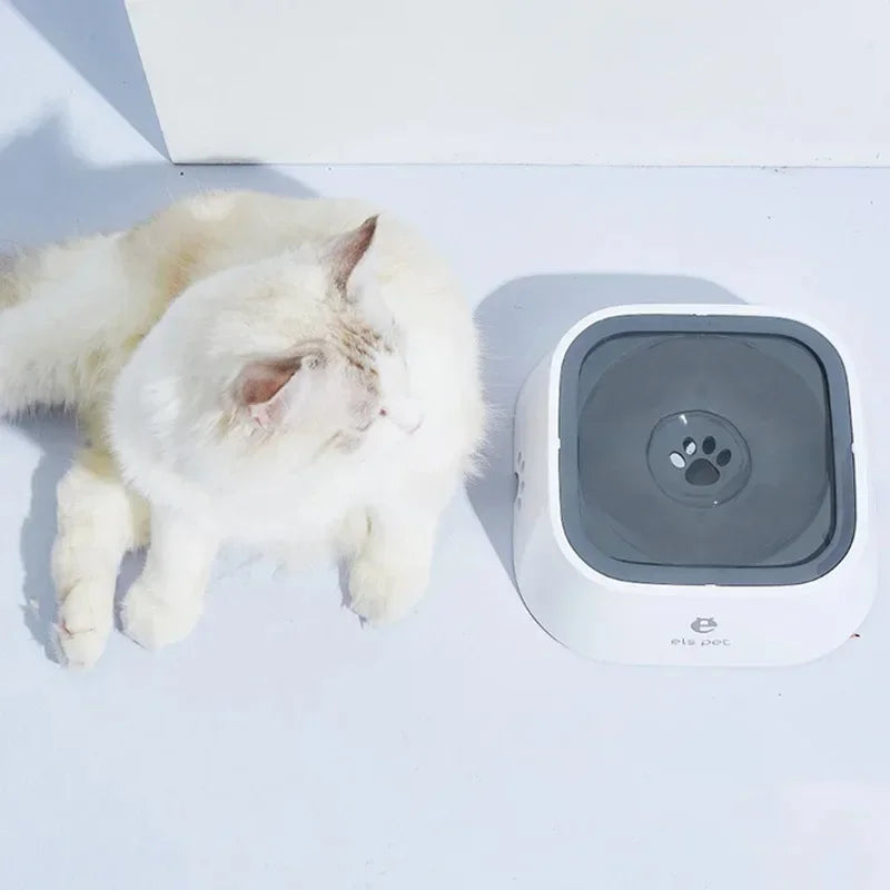 Pet Hydration Station